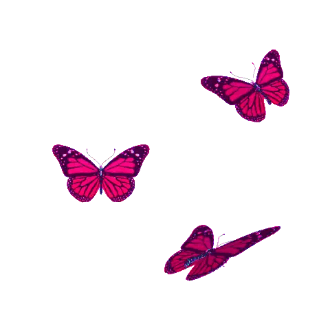 Three Pink Butterflies Flying In A Row On A White Background Sticker