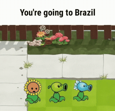 Three Plants In Garden You're Going To Brazil GIF