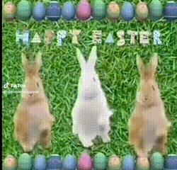 Three Rabbits Are Standing In The Grass With Easter Eggs Surrounding Them GIF