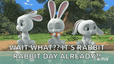 Three Rabbits Sitting With Wait What GIF