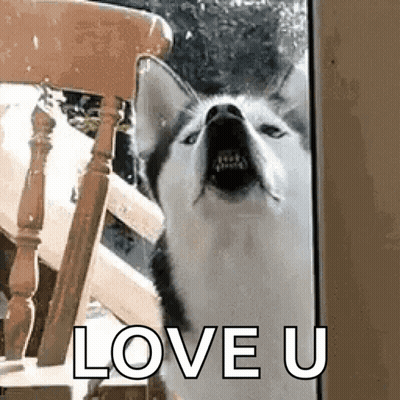 Three Red Hearts Saying I Love You GIF