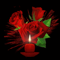 Three Red Rosas GIF