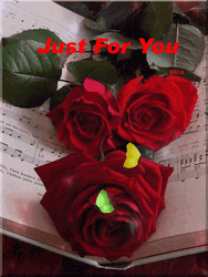 Three Red Roses Just For You GIF