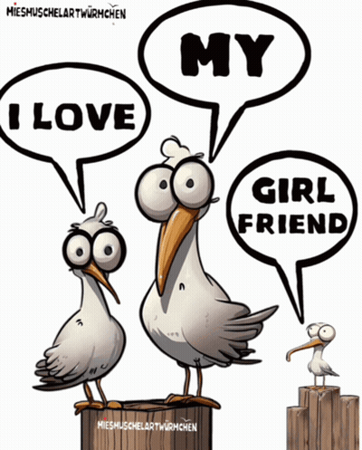 Three Seagulls Saying I Love My Girlfriend GIF