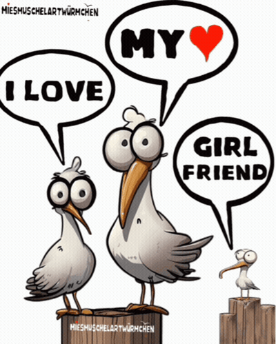 Three Seagulls Saying I Love My Girlfriend GIF