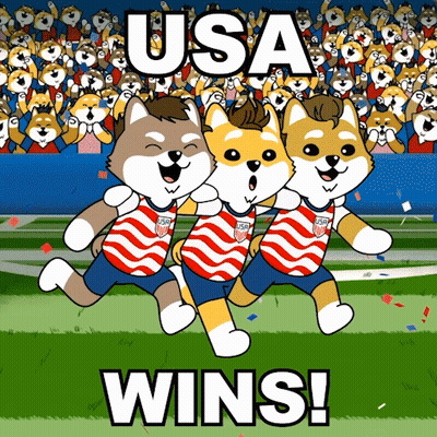 Three Shiba Inu Dogs Running With USA Wins Caption GIF