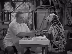 Three Stooges Curly Dalmatian Dog GIF