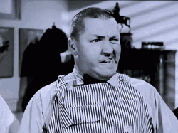 Three Stooges Curly King Kong GIF