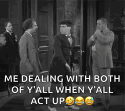 Three Stooges Fighting Funny Meme GIF
