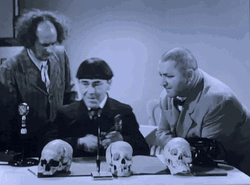 Three Stooges Hitting Skull Head GIF
