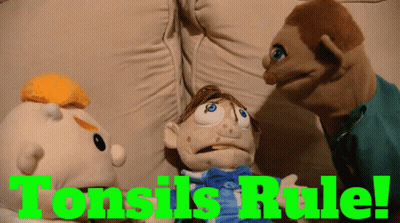 Three Stuffed Animals Are Sitting On A Couch With The Words Tonsils Rule GIF