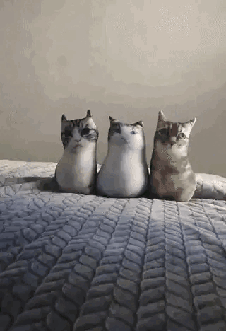 Three Stuffed Cats Are Sitting Next To Each Other On A Bed GIF