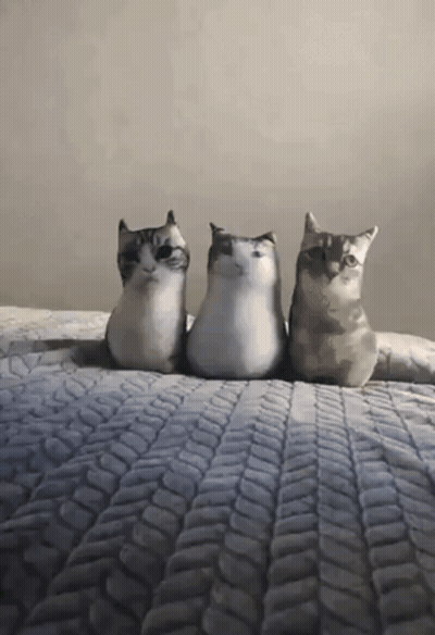 Three Stuffed Cats Are Sitting On A Bed With A Patterned Blanket GIF