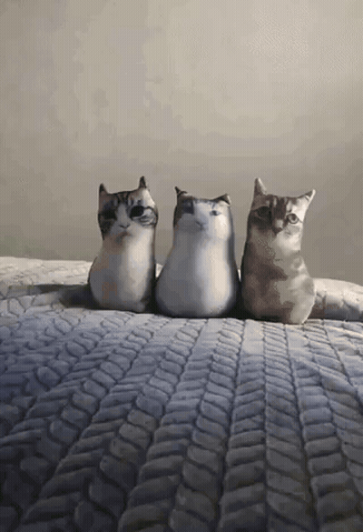 Three Stuffed Cats Sitting On A Bed GIF