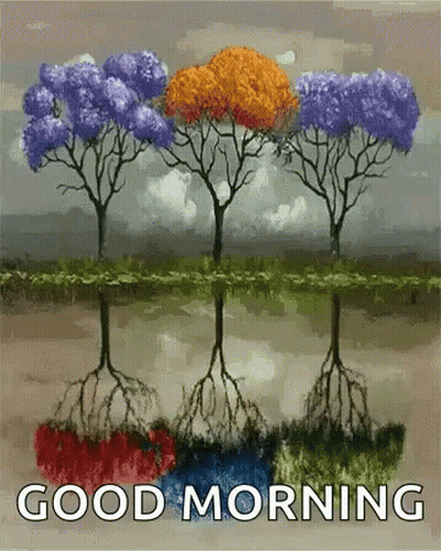 Three Trees With Roots in Water Saying Good Morning