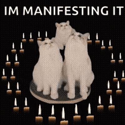 Three White Cats Surrounded By Candles Manifesting It GIF