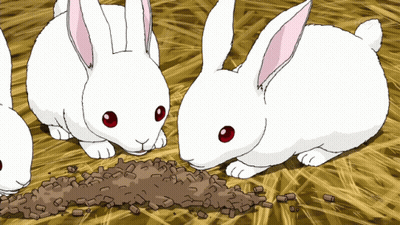 Three White Rabbits With Red Eyes Are Eating Pellets From The Ground GIF