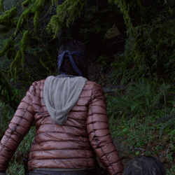 Thriller Bird Box Horror  GIF