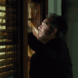 Thriller Bird Box Horror GIF