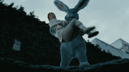 Throw Down The Rabbit Hole GIF
