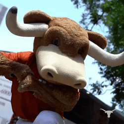 Throw It Out Texas Longhorns GIF