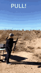 Throwing Balls Air Shooting Target GIF