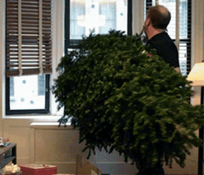 Throwing Christmas Tree Window GIF