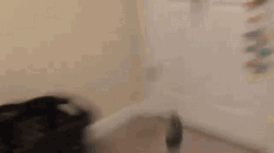 Throwing Computer Mouse GIF