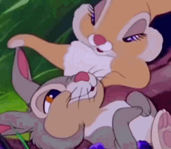 Thumper Getting His Ears Played GIF
