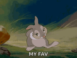 Thumper My Fav GIF