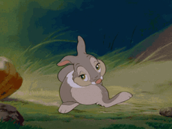 Thumper Shy Rolling Feet GIF