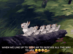 Thumper Skeeyee All The Way To ATX GIF