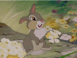 Thumper Talking Nodding Head GIF