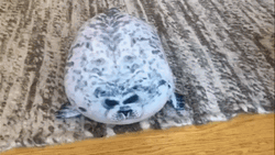 Thumping Seal Toy GIF