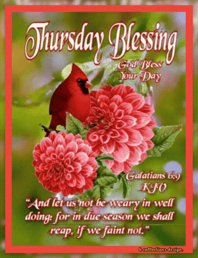 Thursday Blessing Card With Flowers And Cardinal GIF