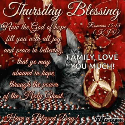 Thursday Blessing Cat GIF