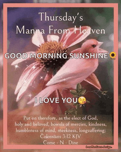 Thursday's Manna From Heaven Good Morning Sunshine GIF