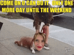Thursday Until The Weekend Work Meme GIF
