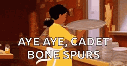 Tiana Salute The Cadet GIF