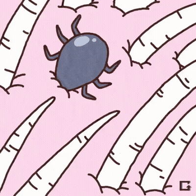 Tick Crawling On Pink GIF