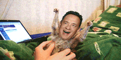 Tickle Animal Tom Hanks GIF