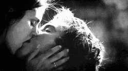 Tiernos Amor Besos GIF