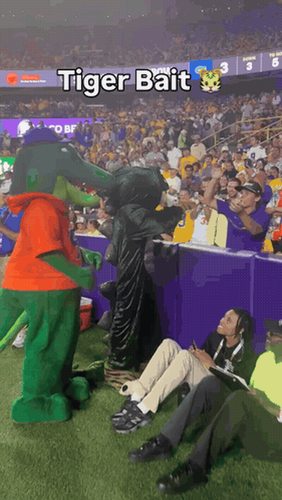 Tiger Bait Mascot At Football Game GIF
