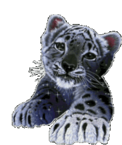 Tiger Cub Sparkles Sticker GIF