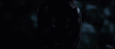 Tiger Face Close Up In Dark Room GIF