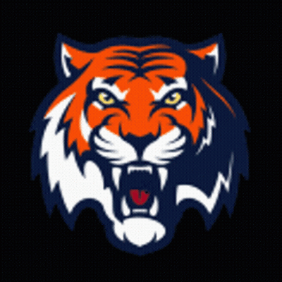 Tiger Face Painting On Dark Background GIF