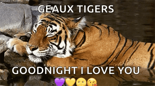 Tiger Geaux Tigers Goodnight I Love You GIF