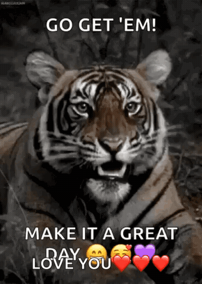 Tiger Go Get 'Em Make It A Great Day Love You GIF
