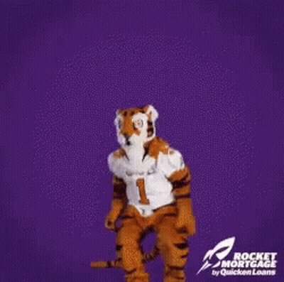 Tiger Mascot Clemson Wins GIF
