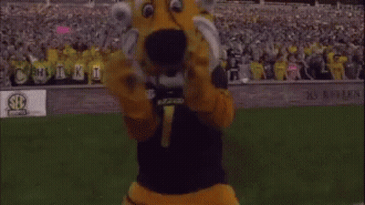 Tiger Mascot Giving Middle Finger In Crowd GIF